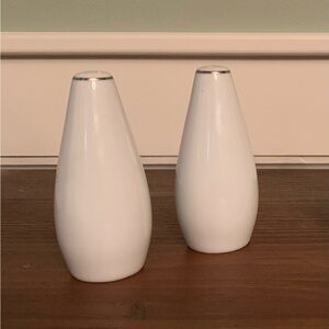 Like New! Style House Porcelain Platinum Ring Salt & Pepper Shaker Set